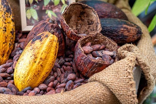 how to make chocolate with cocoa beans - part 1 chocolate making