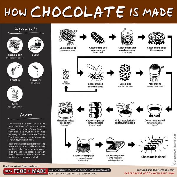 How is Chocolate Made? The Factory Process Explained & Illustrated