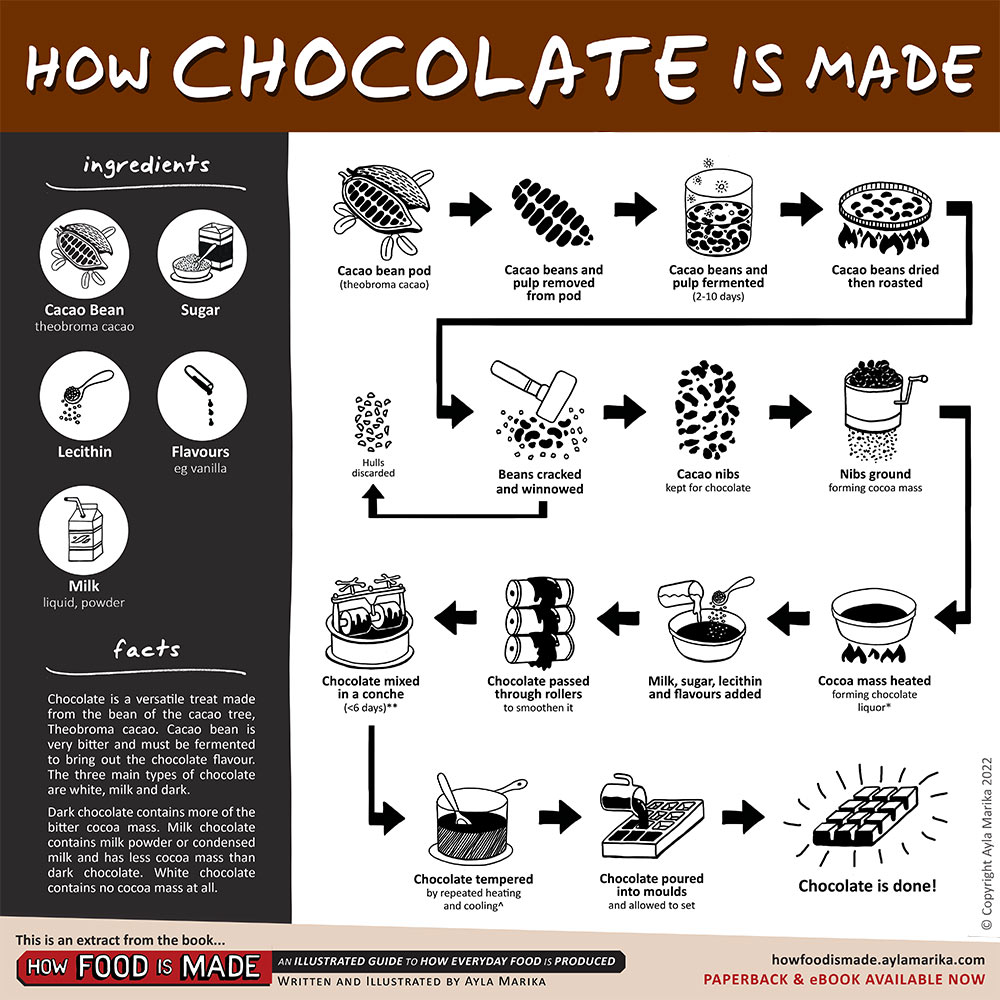 https://chocolatiering.com/wp-content/uploads/2022/11/how-chocolate-is-made-infographic-ayla-marika.jpg