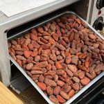 how to roast cacao beans at home