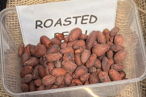 where to buy cocoa beans for chocolate online usa uk